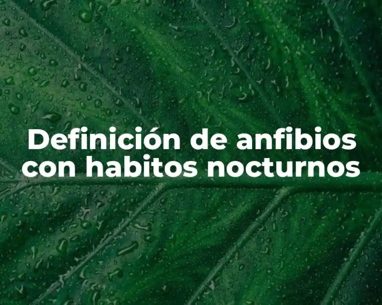 Definición de anfibios con habitos nocturnos