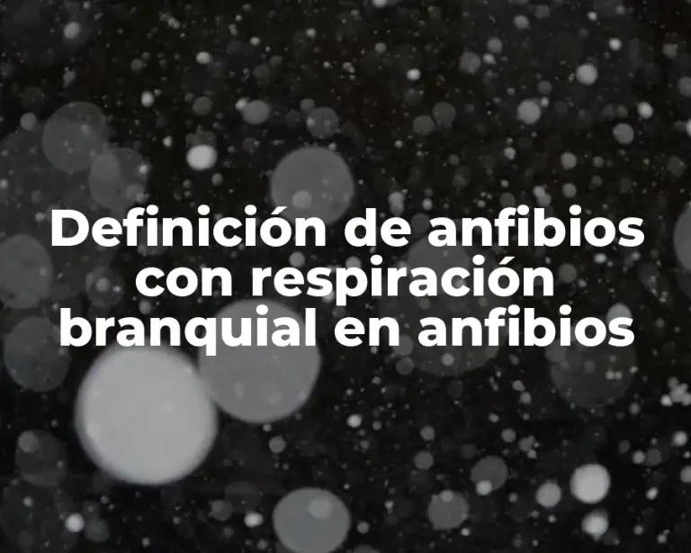 Definición de anfibios con respiración branquial en anfibios