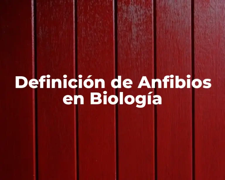 Definición de Anfibios en Biología