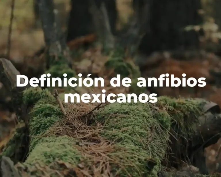 Definición de anfibios mexicanos
