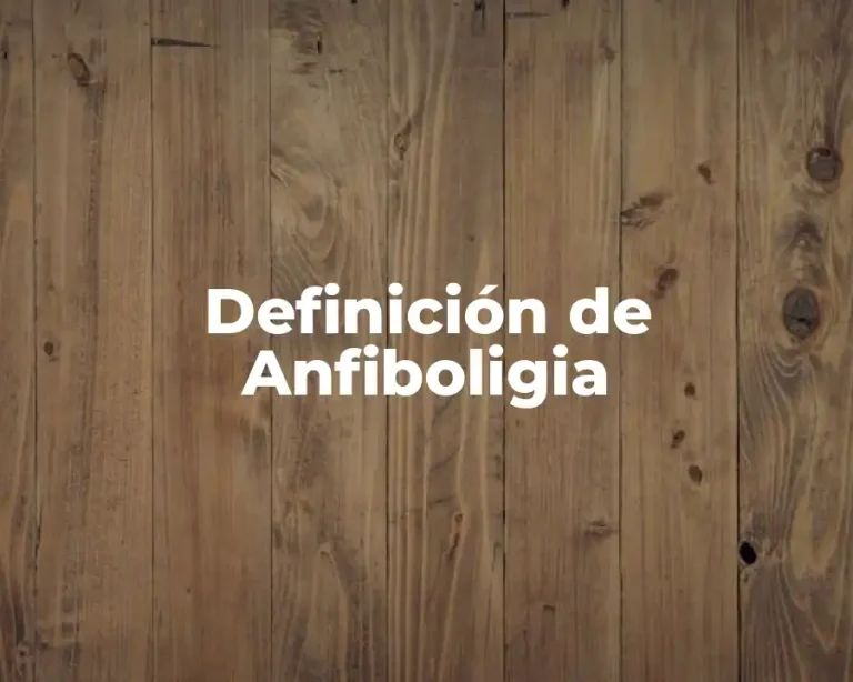 Definición de Anfiboligia