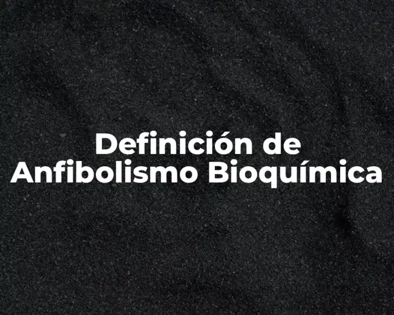Definición de Anfibolismo Bioquímica