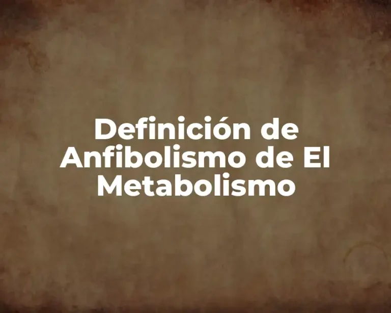 Definición de Anfibolismo de El Metabolismo
