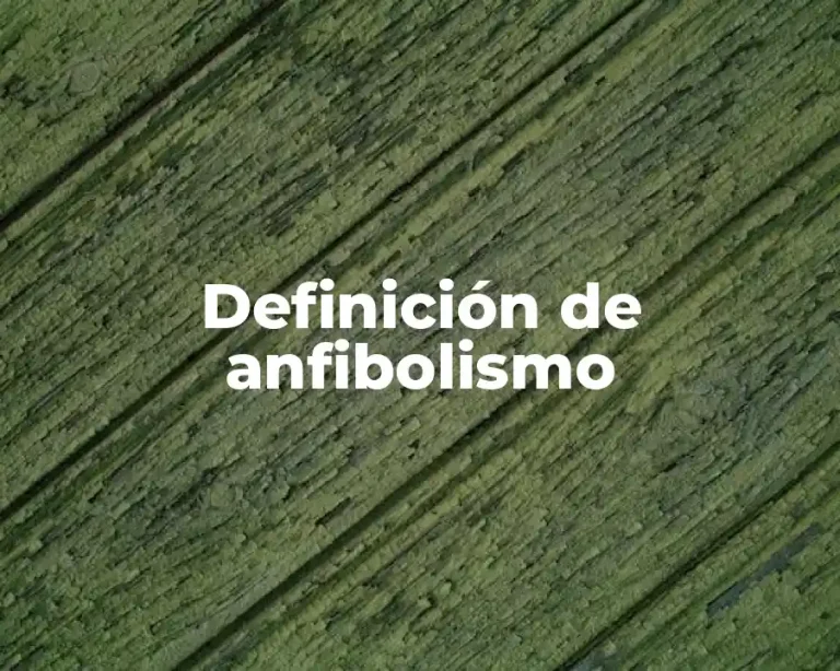 Definición de anfibolismo