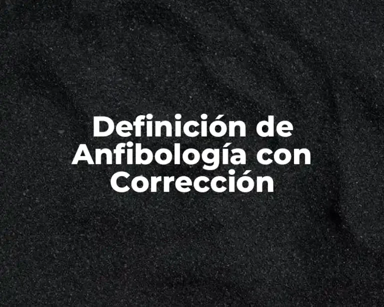 Definición de Anfibología con Corrección