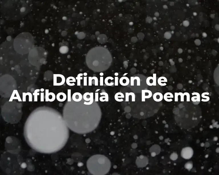 Definición de Anfibología en Poemas