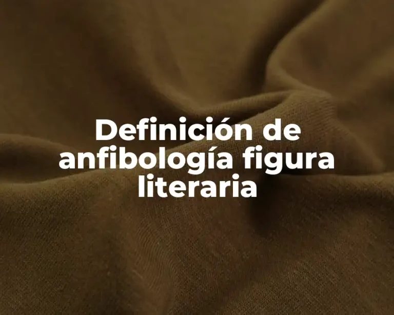 Definición de anfibología figura literaria