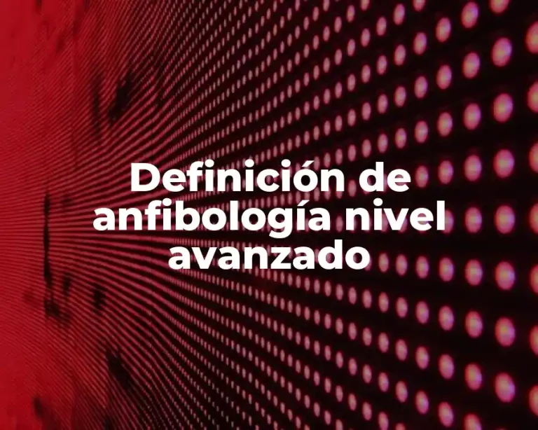 Definición de anfibología nivel avanzado