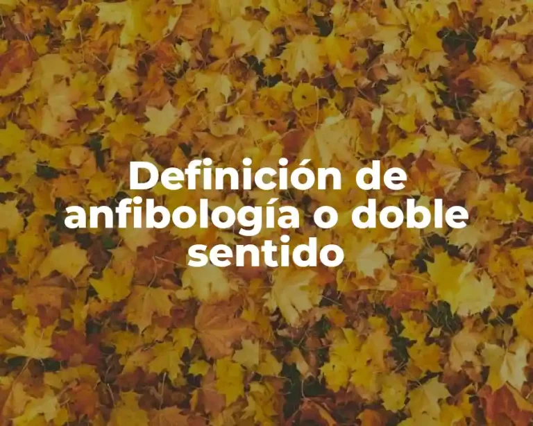 Definición de anfibología o doble sentido