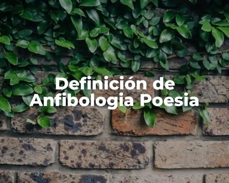 Definición de Anfibologia Poesia