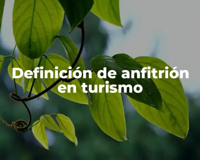 Definición de anfitrión en turismo