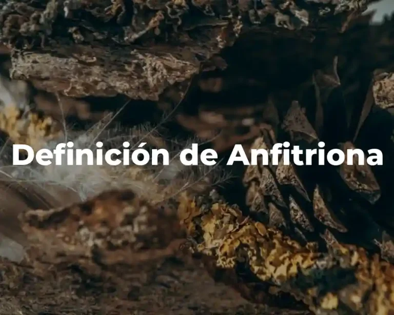 Definición de Anfitriona