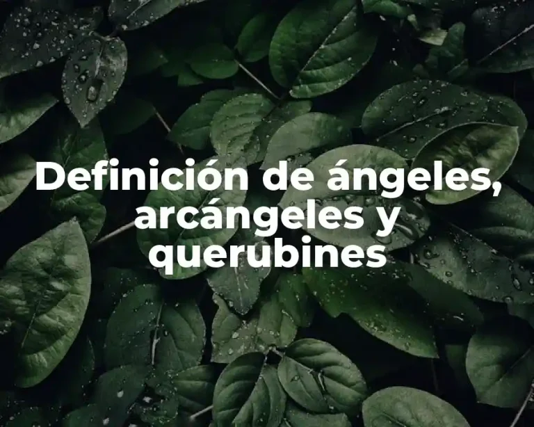 Definición de ángeles, arcángeles y querubines
