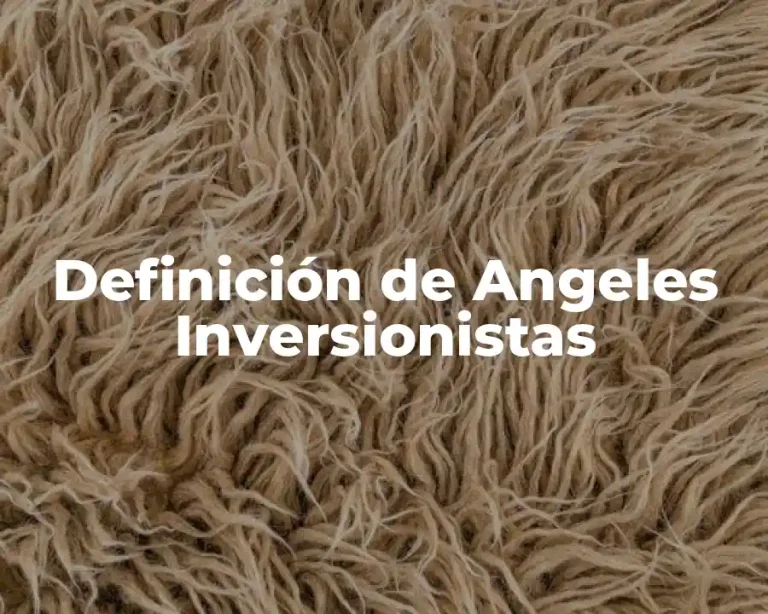 Definición de Angeles Inversionistas