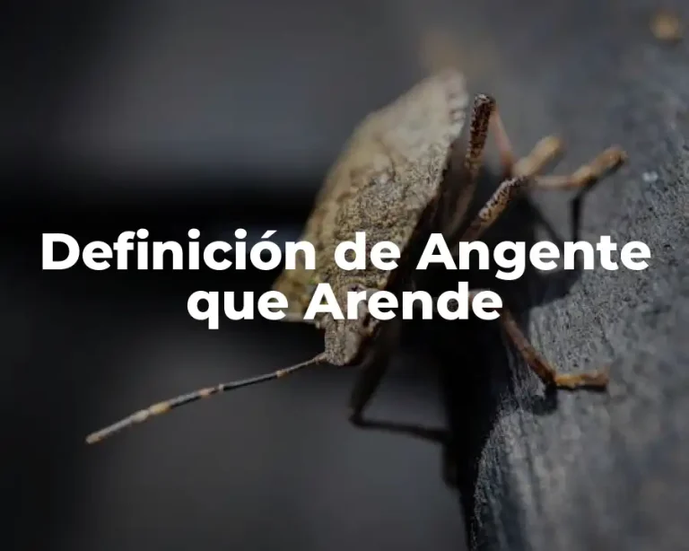 Definición de Angente que Arende