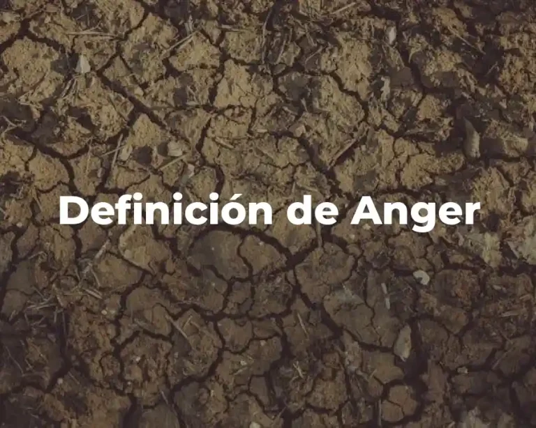 Definición de Anger