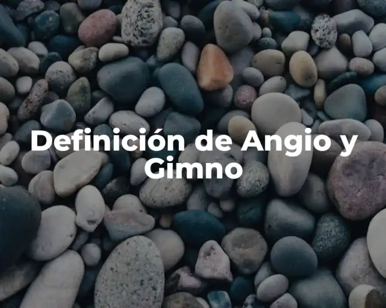 Definición de Angio y Gimno