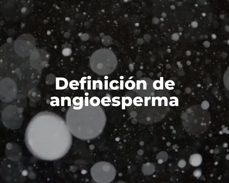 Definición de angioesperma