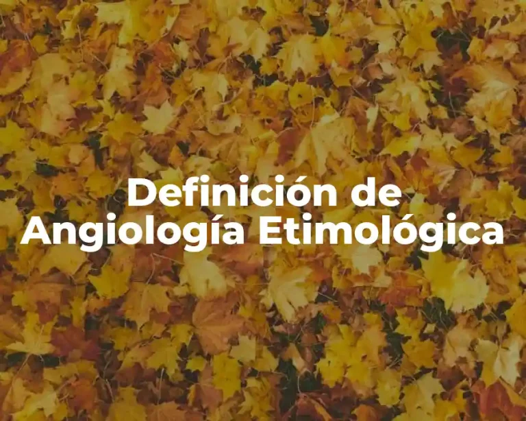 Definición de Angiología Etimológica