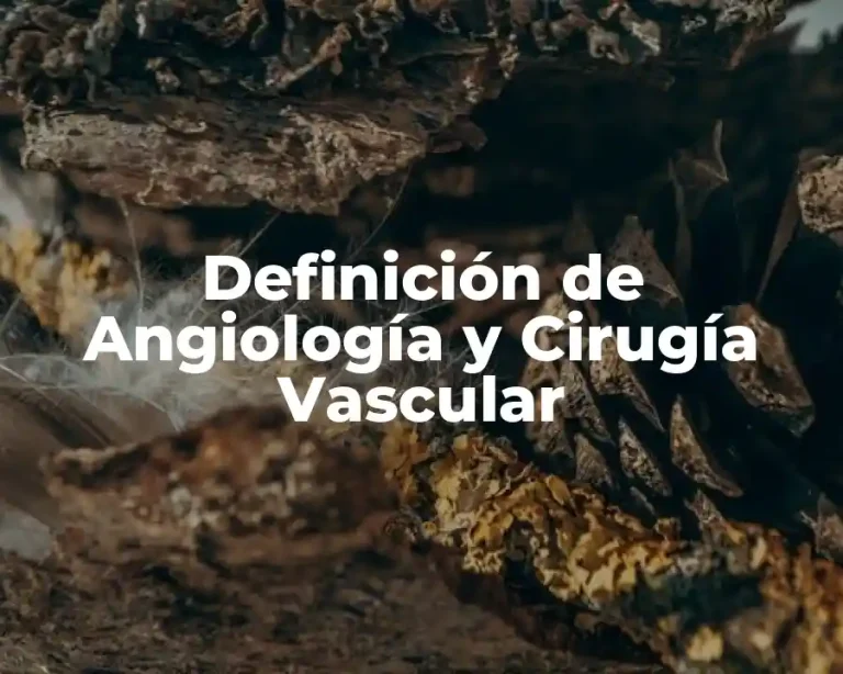 Definición de Angiología y Cirugía Vascular