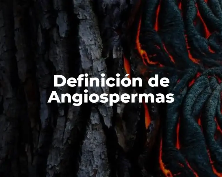 Definición de Angiospermas