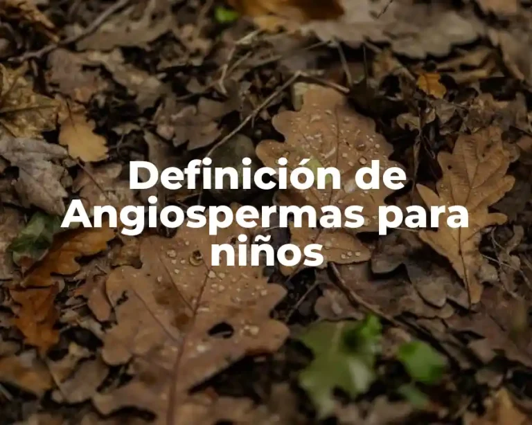 Definición de Angiospermas para niños
