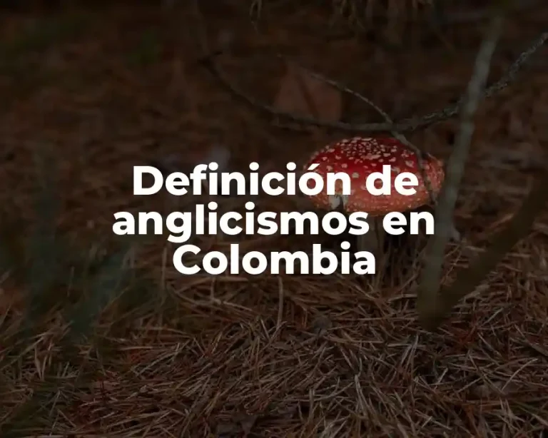 Definición de anglicismos en Colombia