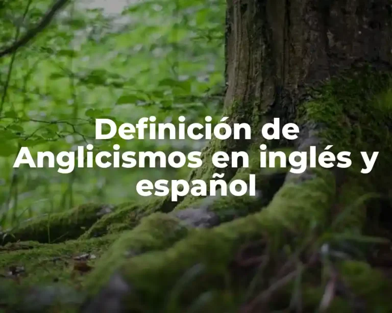 Definición de Anglicismos en inglés y español