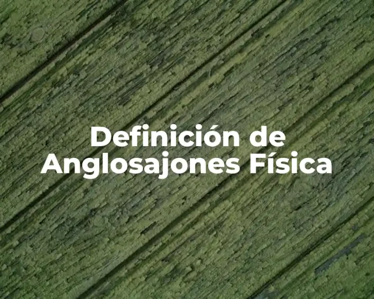 Definición de Anglosajones Física