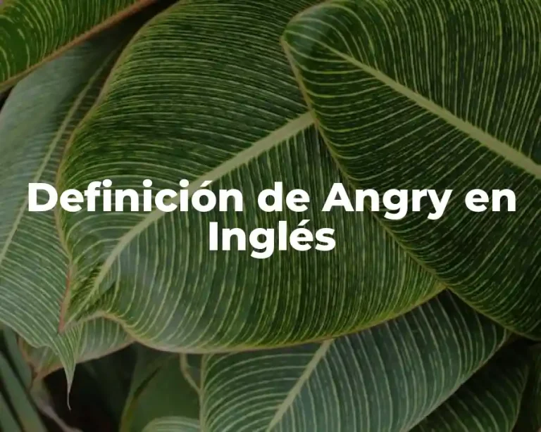 Definición de Angry en Inglés