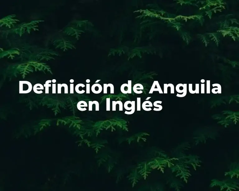 Definición de Anguila en Inglés