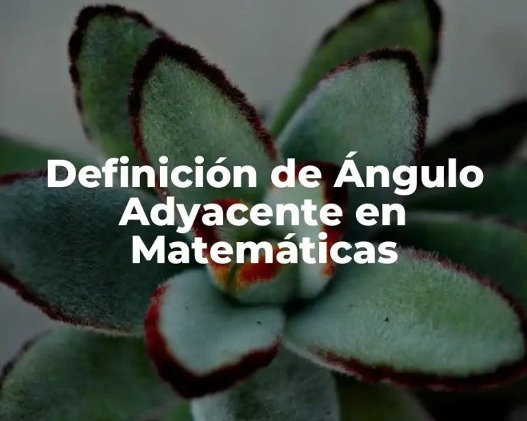 Definición de Ángulo Adyacente en Matemáticas