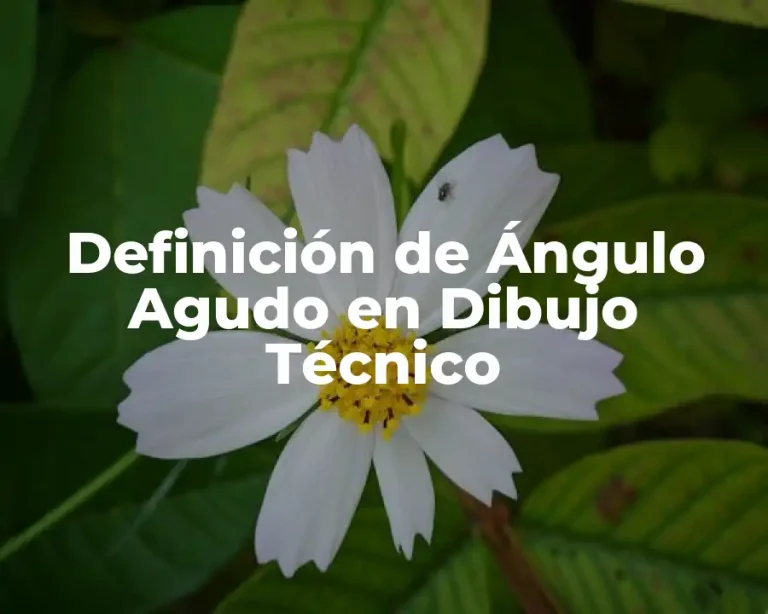 Definición de Ángulo Agudo en Dibujo Técnico