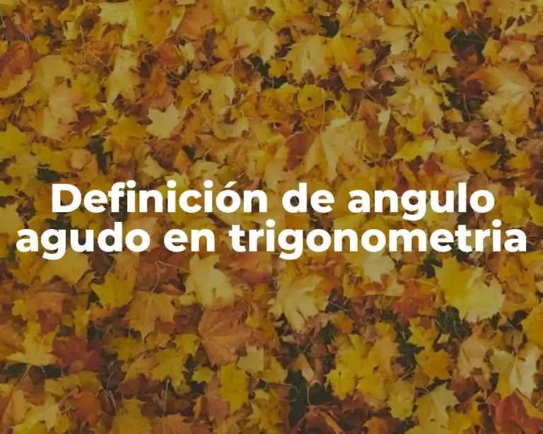 Definición de angulo agudo en trigonometria
