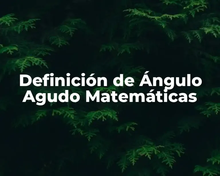 Definición de Ángulo Agudo Matemáticas
