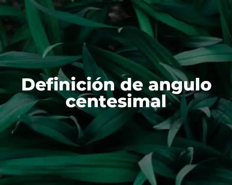 Definición de angulo centesimal