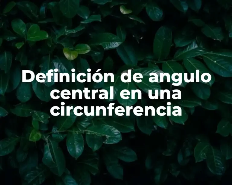 Definición de angulo central en una circunferencia