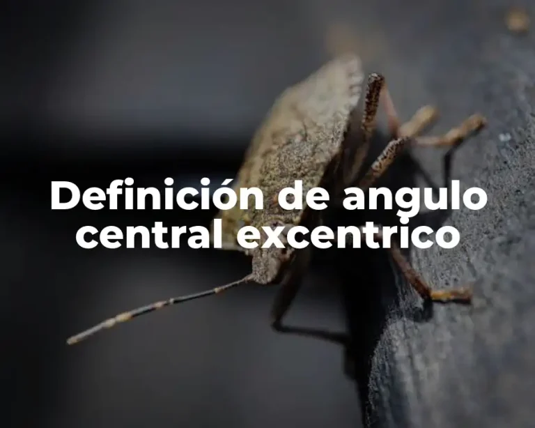 Definición de angulo central excentrico