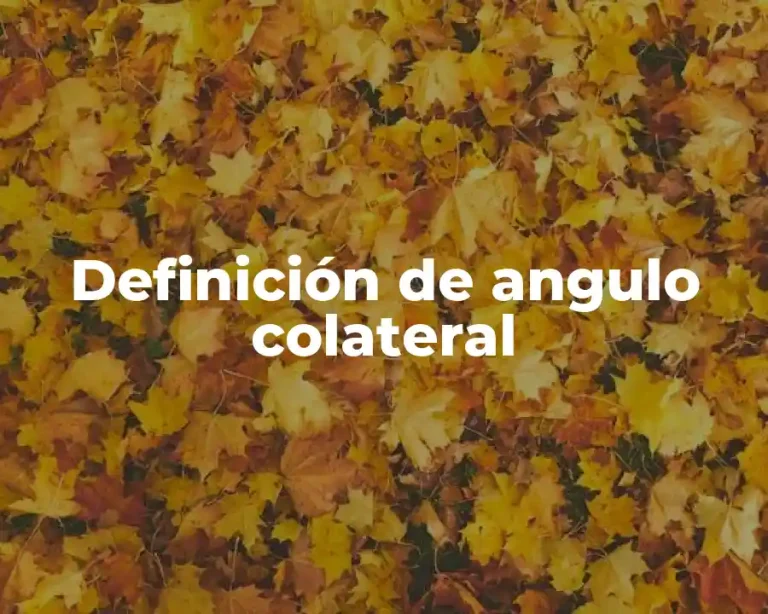 Definición de angulo colateral