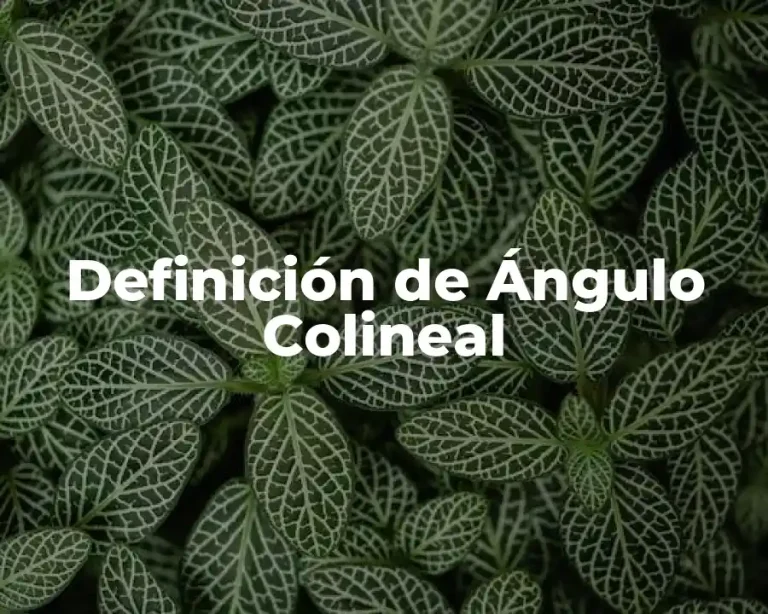 Definición de Ángulo Colineal