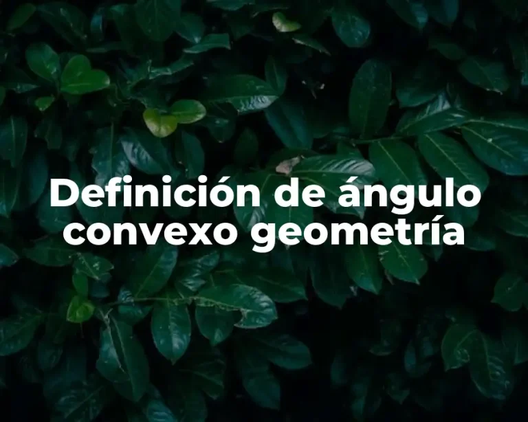 Definición de ángulo convexo geometría