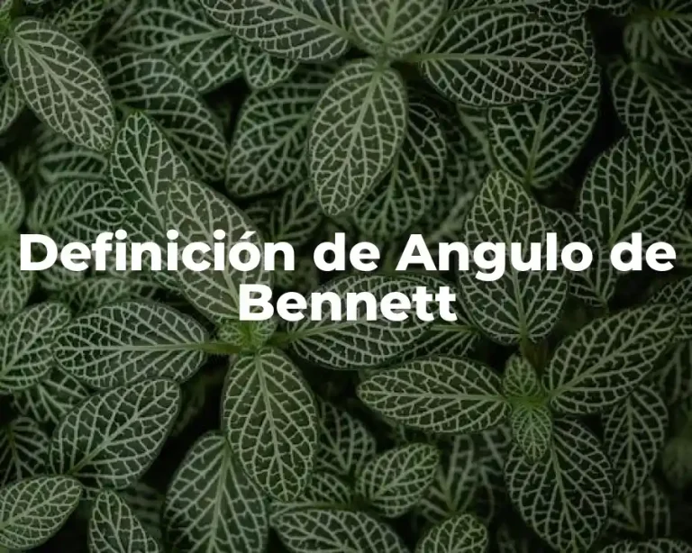 Definición de Angulo de Bennett