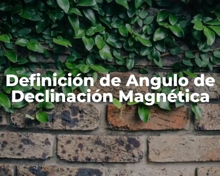 Definición de Angulo de Declinación Magnética