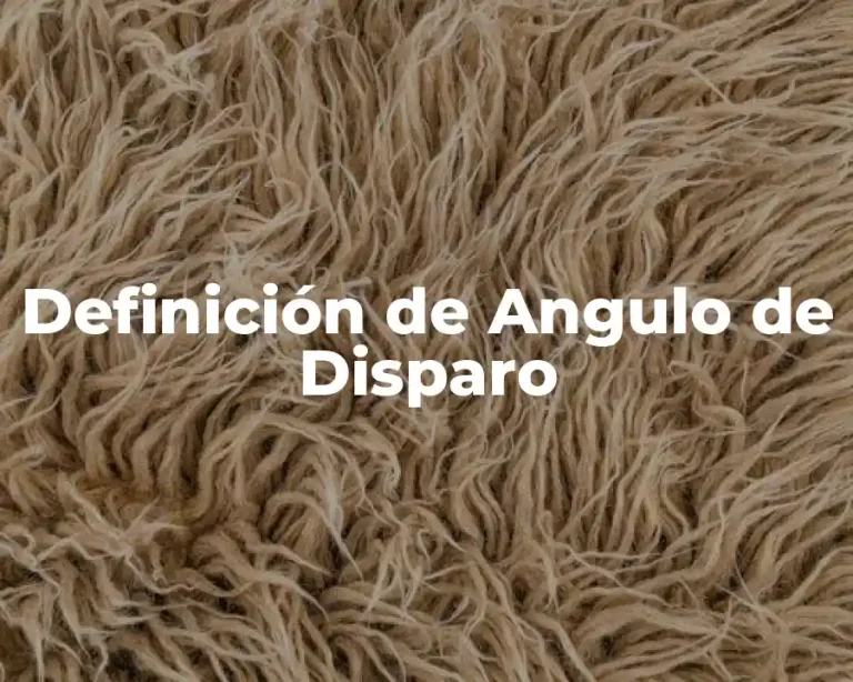 Definición de Angulo de Disparo