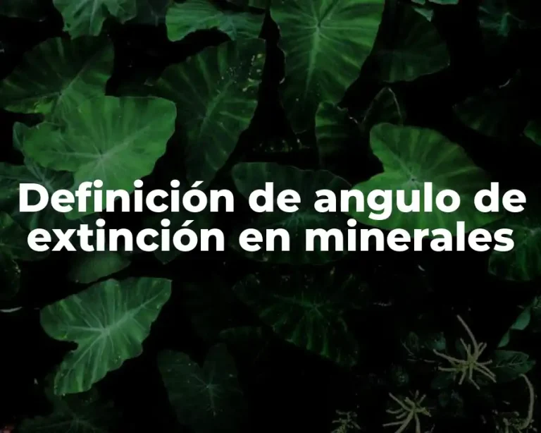 Definición de angulo de extinción en minerales
