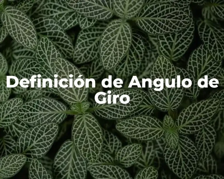 Definición de Angulo de Giro