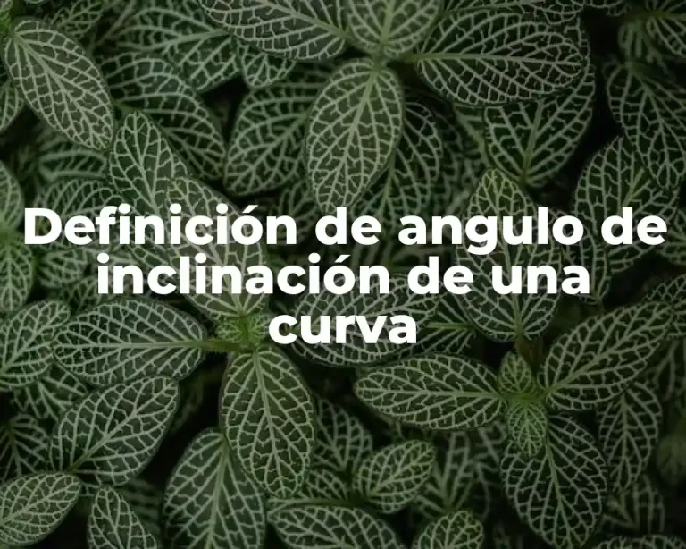 Definición de angulo de inclinación de una curva