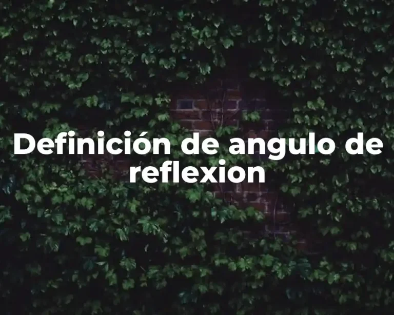 Definición de angulo de reflexion