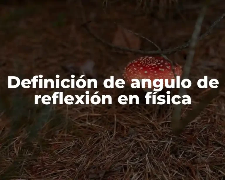 Definición de angulo de reflexión en física