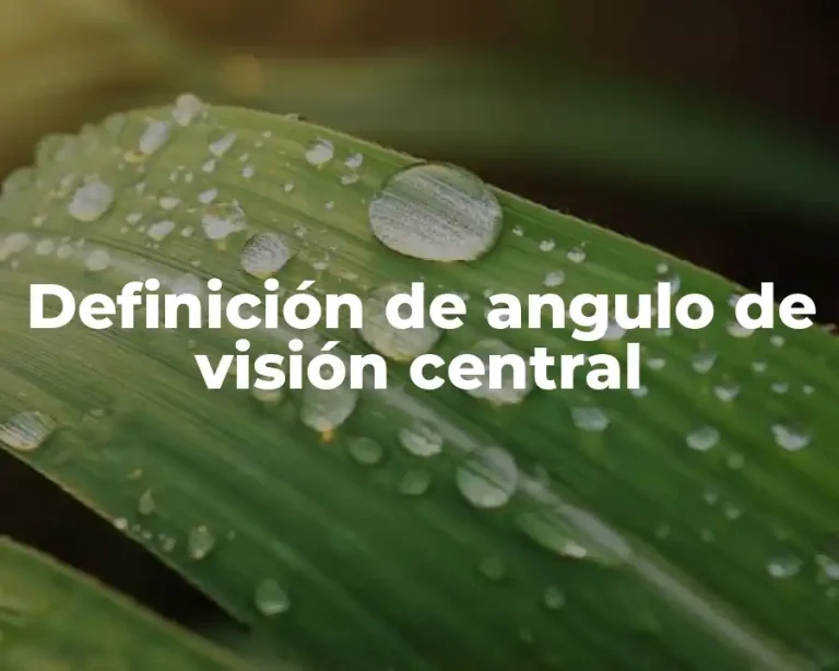 Definición de angulo de visión central